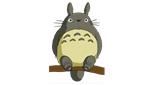 Отвечать Totoro