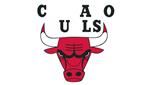 Répondre Chicago Bulls