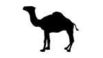 Responder Camel