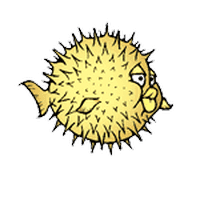 Answer openbsd