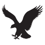 Risposta American Eagle