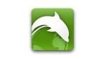 Answer dolphin browser