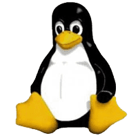 Answer linux