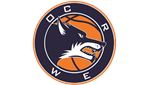 Answer Worcester Wolves